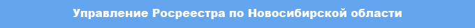 upravlenie_rosreestra_po_novosibirskoy_oblasti_11.jpg