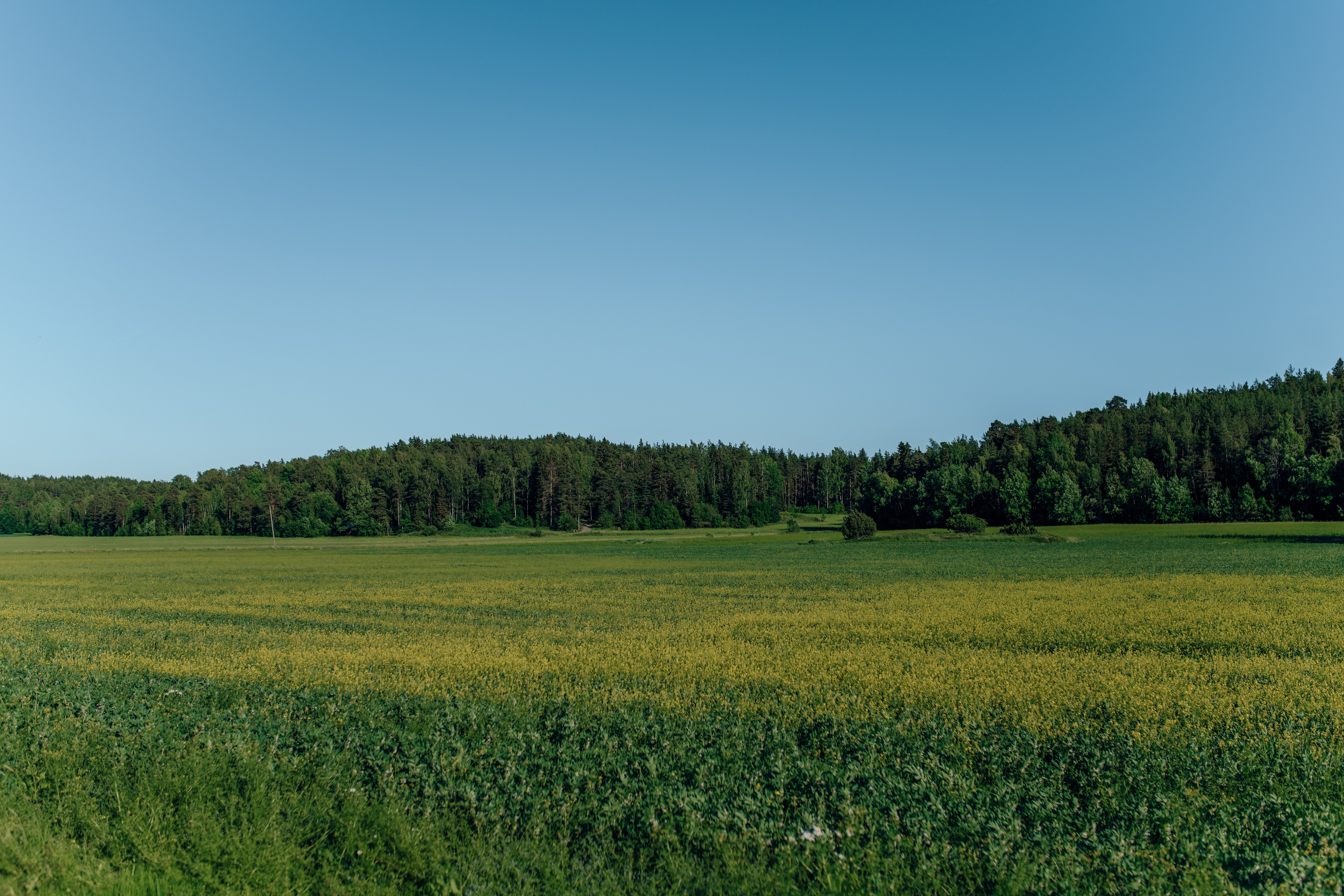 v_semi_municipalnyh_obrazovaniyah_novosibirskoy_oblasti_zaversheno_vnesenie_granic_territorialnyh_zon_v_egrn.jpg